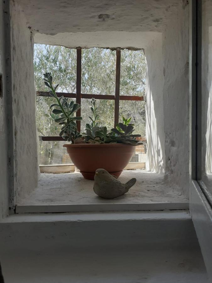 Villa La Mia Dimora à Cocolicchio Extérieur photo