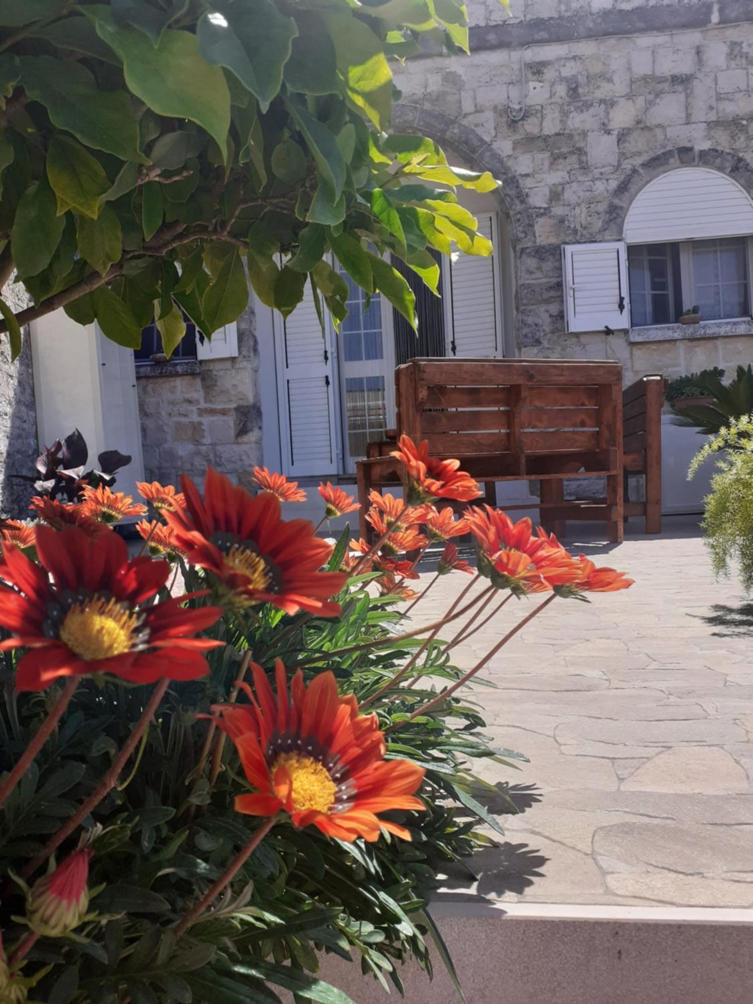Villa La Mia Dimora à Cocolicchio Extérieur photo